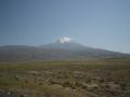 TR_304_Ararat